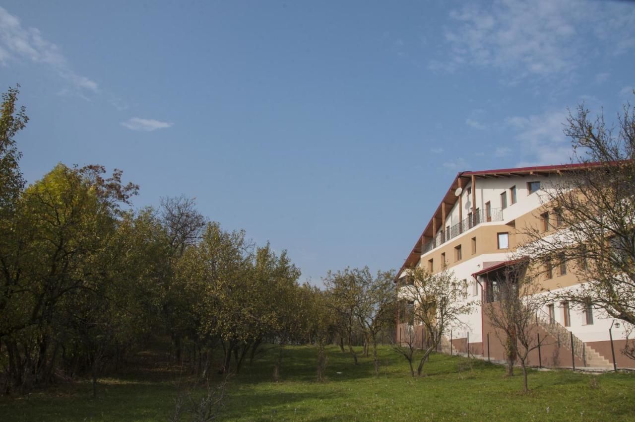 Гостевой дом Pensiunea Muntele Verde Слэник-23